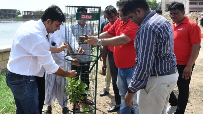 Energy Beverages Celebrated World Environment Day  With Tree Plantation Drive