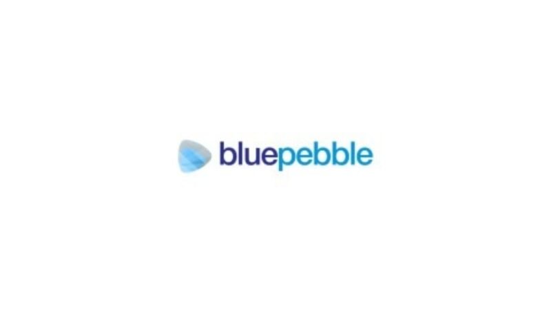 Blue Pebble Limited IPO To Open On 26th March, Sets Price Band At Rs 159 to Rs 168 Per Share
