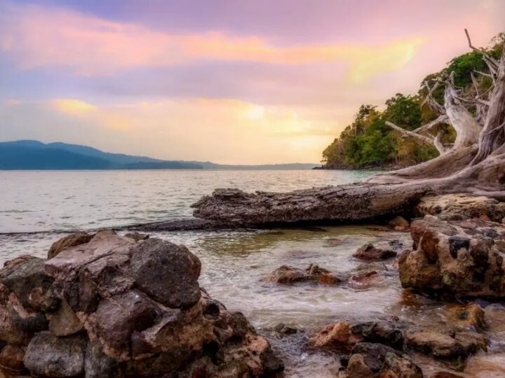 Andaman Packages from Vizag: Your Complete Island Getaway Guide