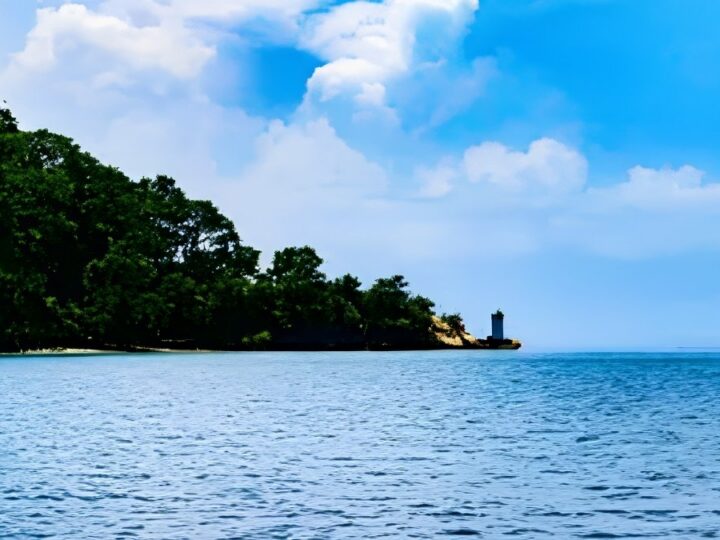 Andaman Tour Packages 2026–27: Booking Insights from Andaman TravelCare Show Growing Demand from Major Indian Cities