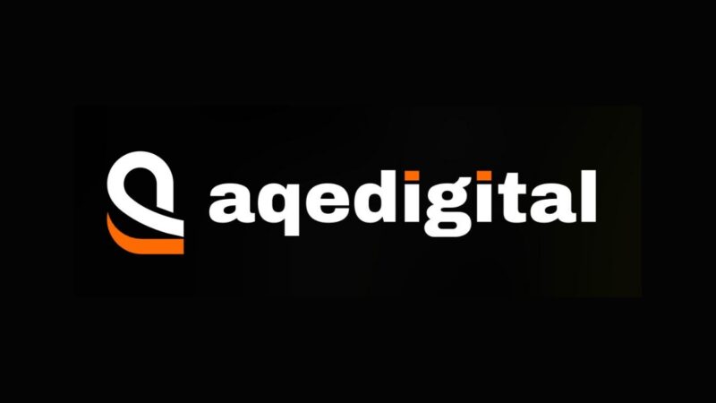 ACE Software Posts Earnings Turnaround; Standalone Profit Before Tax Up 43% YoY