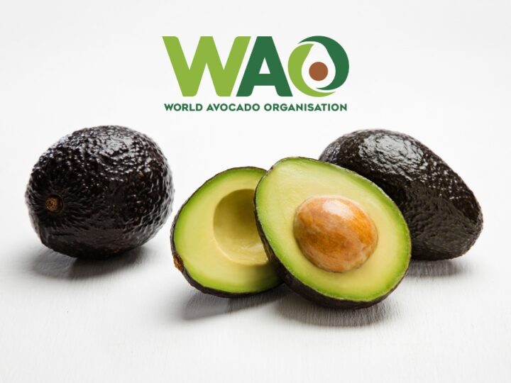 World Avocado Organisation Highlights Avocado’s Role in Post-Monsoon Wellness as India Enters the Festive Season