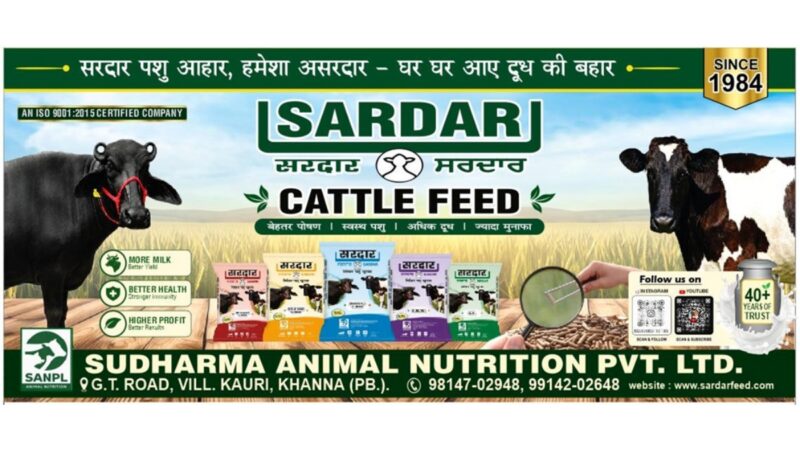 Sardar Cattle Feed: From a 1984 Family Legacy to a Modern Cattle Nutrition Brand