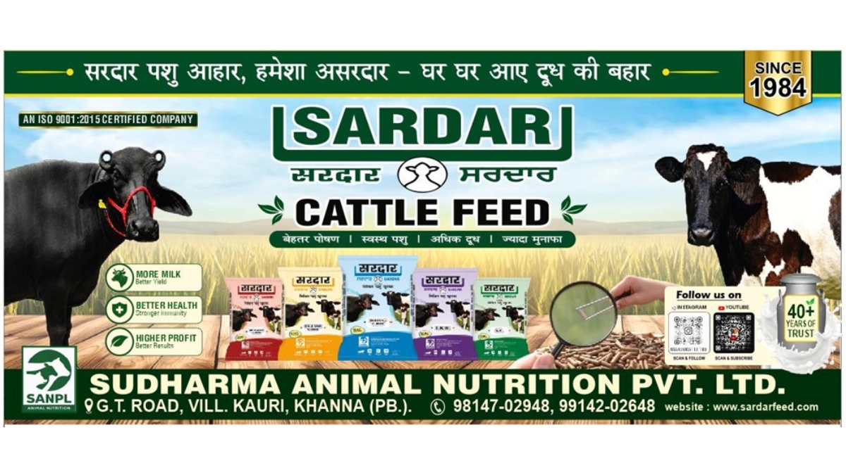 Sardar Cattle Feed: From a 1984 Family Legacy to a Modern Cattle Nutrition Brand